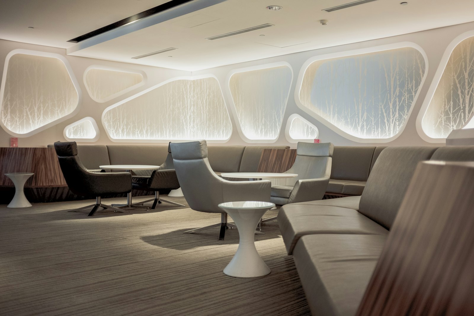 Private jet in flight